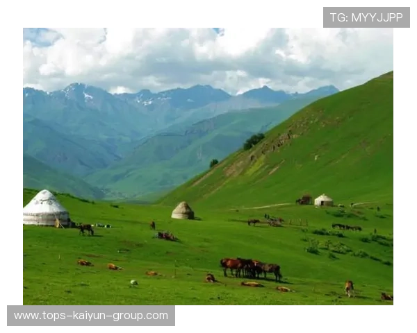 学习新语｜新疆七十年的语言与风景